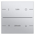 GIRA 576226 Wippenset 2fach indiv. Tastsensor4 System 55 Farbe Alu