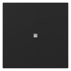 GIRA 3490005 Wippe gerade Kontroll- fenster System 55 Schwarz matt (lack.)