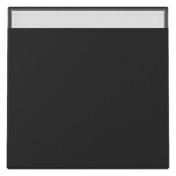 GIRA 3299005 Wippe Beschriftungsfeld System 55 Schwarz matt (lackiert)
