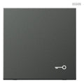 Jung AL2990TAN Wippe Symbol Tür LS Aluminium anthrazit