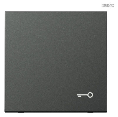 Jung AL2990TAN Wippe Symbol Tür LS Aluminium anthrazit