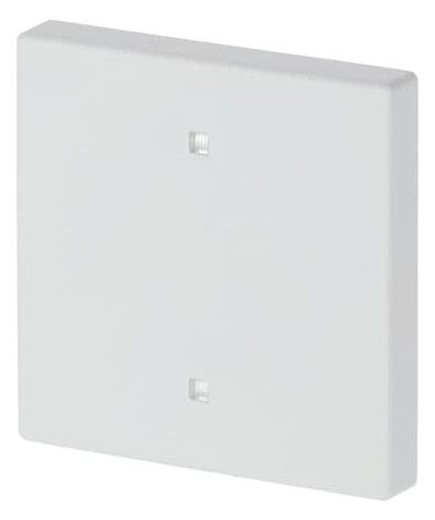 BJ 2570-10-884 Wippe Elektroniktaster