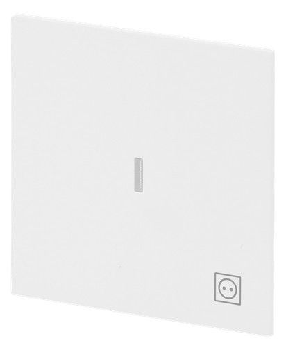 BJ 1789 ST-44M Wippe m.Symbol "Stecker" Mit transparenter Kalotte