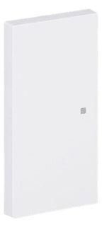 BJ 6230-20-44G Wippe 2-fach neutral o.Bedruckung