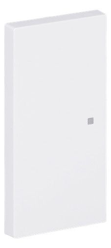 BJ 6230-20-44G Wippe 2-fach neutral o.Bedruckung