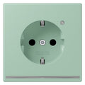 Jung LC1520-OLNW217 SCHUKO-Steckdose m.LED-Licht LC32041