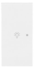 BJ 6231-21-44G Wippe 2-fach links m.Symbol "Licht"