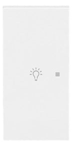 BJ 6231-21-44G Wippe 2-fach links m.Symbol "Licht"