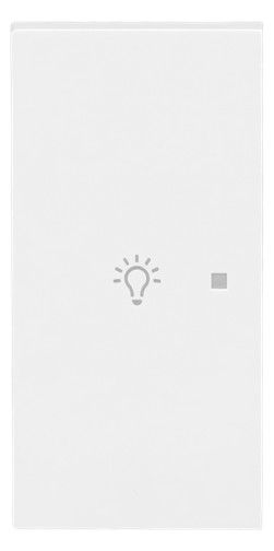 BJ 6231-21-44G Wippe 2-fach links m.Symbol "Licht"
