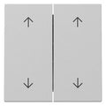 GIRA 3297015 Wippe 2fach Pfeile System 55 Grau matt (lackiert)