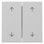 GIRA 3297015 Wippe 2fach Pfeile System 55 Grau matt (lackiert)