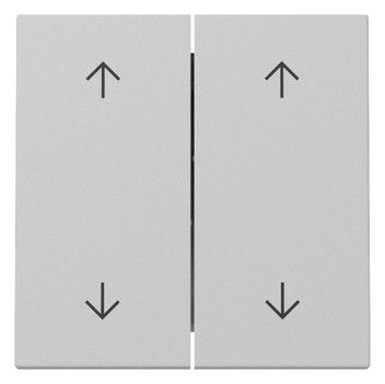 GIRA 3297015 Wippe 2fach Pfeile System 55 Grau matt (lackiert)