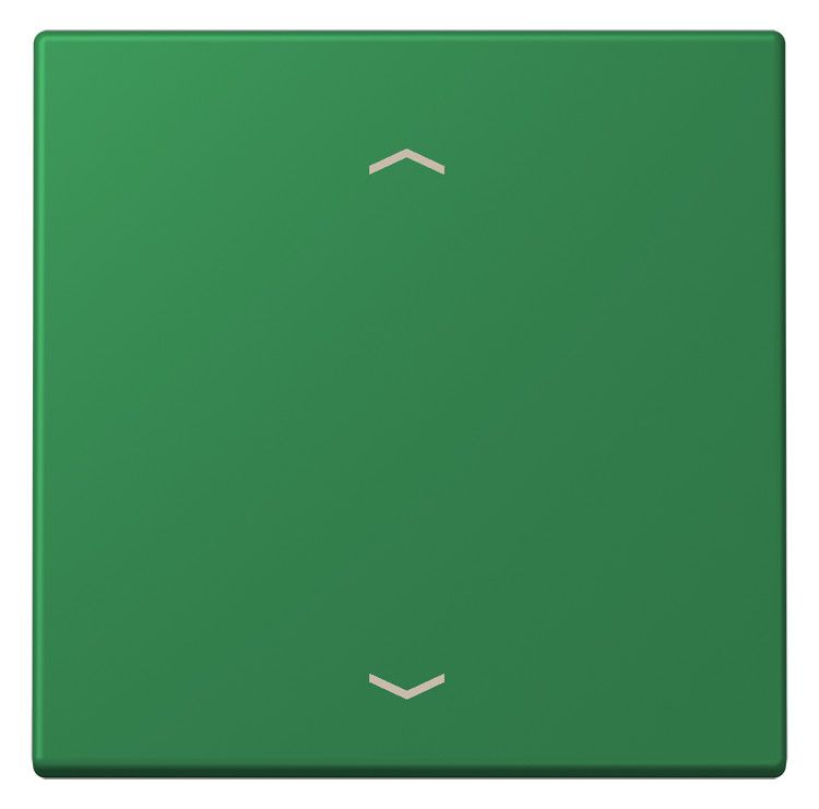 Jung LC990P219 Wippe f.Taster BA 1fach LC32050