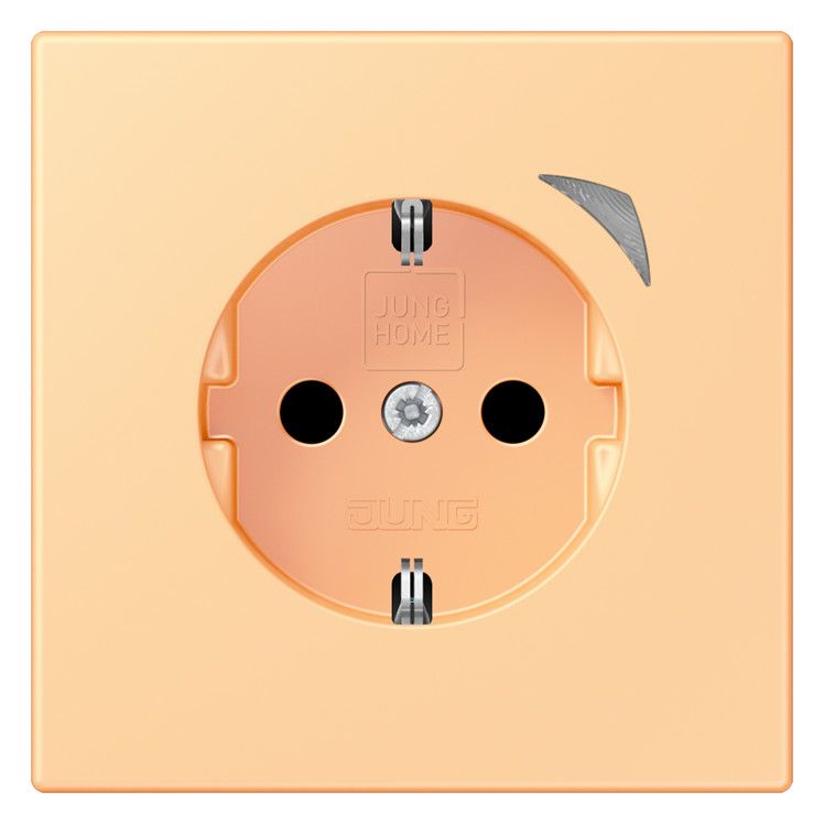Jung BTLC1521SE258 JUNG HOME SCHUKO Steckdose Energy LC4320