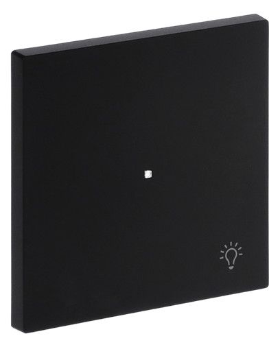 BJ 6231-10-45M Wippe 1-fach m.Symbol "Licht"