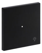 BJ 6231-10-45M Wippe 1-fach m.Symbol "Licht"