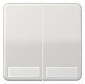 Jung CD595NALG Wippe Serienschalter Schriftfeld lichtgrau