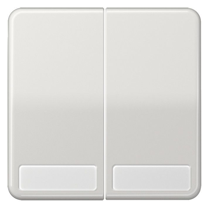Jung CD595NALG Wippe Serienschalter Schriftfeld lichtgrau