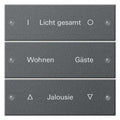 GIRA 220328 Wippenset 3fach beschreibbar System 55 Anthrazit (lackiert)