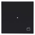BJ 6233-10-45M Wippe 1-fach m.Symbol "Szene"