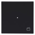 BJ 6233-10-45M Wippe 1-fach m.Symbol "Szene"