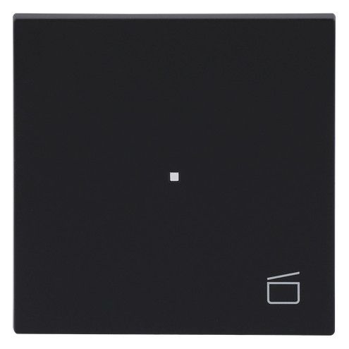BJ 6233-10-45M Wippe 1-fach m.Symbol "Szene"