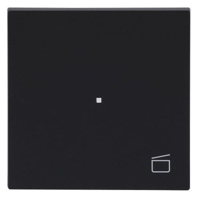 BJ 6233-10-45M Wippe 1-fach m.Symbol "Szene"