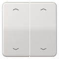 Jung CD102PLG Wippe f.Serientasterpfeile