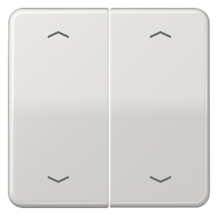 Jung CD102PLG Wippe f.Serientasterpfeile