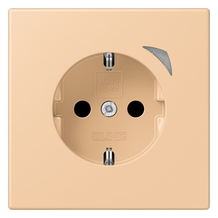 Jung BTLC1521SE237 JUNG HOME SCHUKO Steckdose Energy LC3212