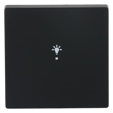 BJ 6231-10-885 Wippe 1f Licht schwarz matt Busch-free@home future linear