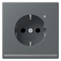 Jung LC1520-OLNW202 SCHUKO-Steckdose m.LED-Licht LC32010