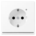 Jung LS1520-OWWMLNW SCHUKOsteckdose m.LED-Licht