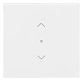 BJ 6232-10-44M Wippe 1-fach m.Symbol "Jalousie"