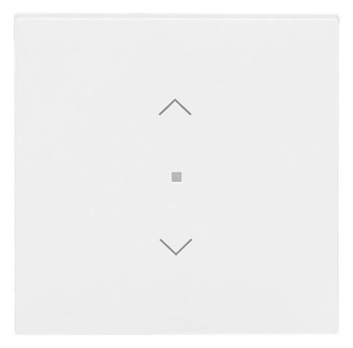 BJ 6232-10-44M Wippe 1-fach m.Symbol "Jalousie"