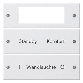 GIRA 221227 Wippenset 2fach Plus beschreib. System 55 Reinweiß seidenmatt