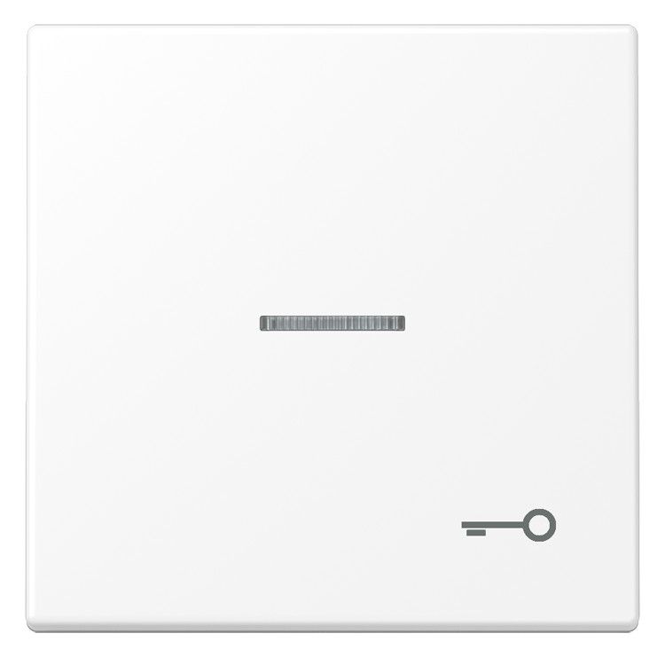 Jung LS 990 KO5 T WWM Wippe 1f m.Lichtleiter Symbol Tür Serie LS