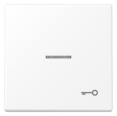 Jung LS 990 KO5 T WWM Wippe 1f m.Lichtleiter Symbol Tür Serie LS