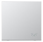 Jung AL2990LP Wippe geprägtes Symbol Licht LS Aluminium