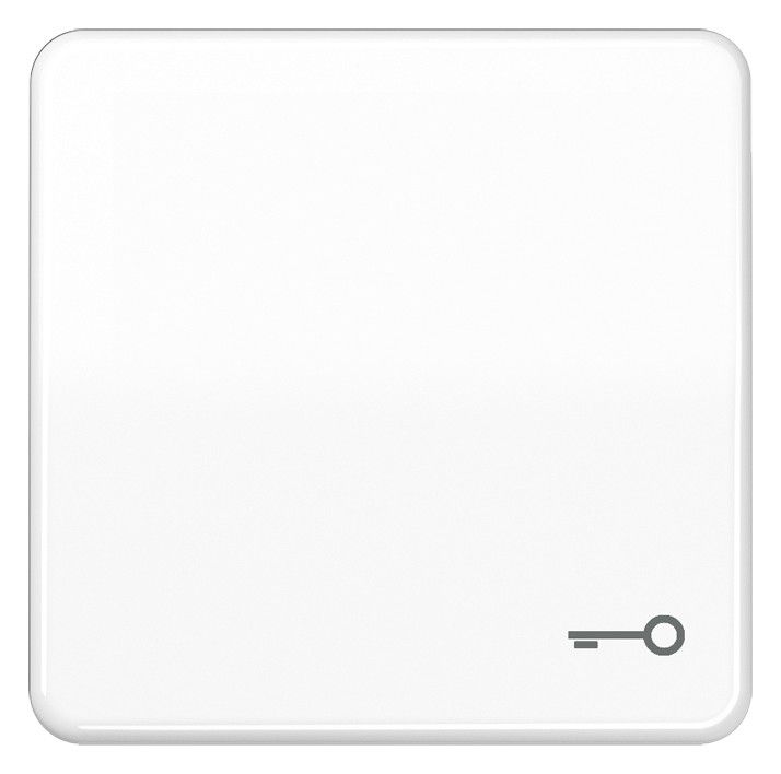 Jung CD590BFTWW Wippe Symbol Tür bruchsicher alpinweiß