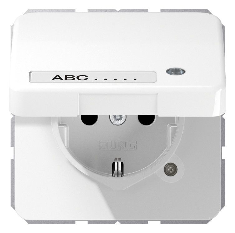 Jung CD 1520 NAKLKO WW SCHUKO-Steckdose 16A 250V Berührungs.- schutz Klappd.SF