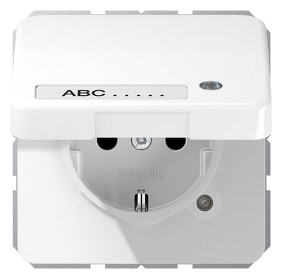 Jung CD 1520 NAKLKO WW SCHUKO-Steckdose 16A 250V Berührungs.- schutz Klappd.SF