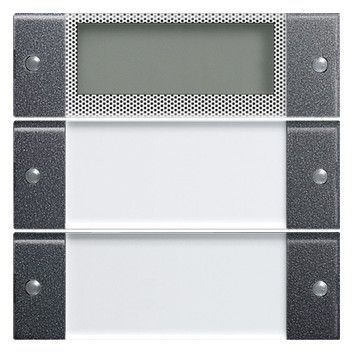GIRA 214228 Wippenset 2fach Plus BSF System 55 Klar/Anthrazit