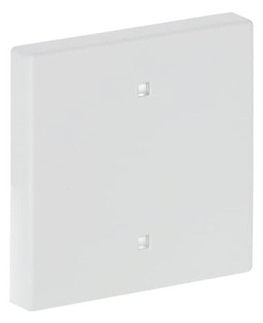 BJ 2570-10-884 Wippe Elektroniktaster