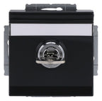 BJ 20 EUKNBSL-81-101 SCHUKO Steckdosen-Einsatz anth future linear