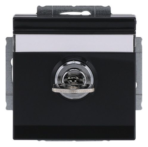 BJ 20 EUKNBSL-81-101 SCHUKO Steckdosen-Einsatz anth future linear