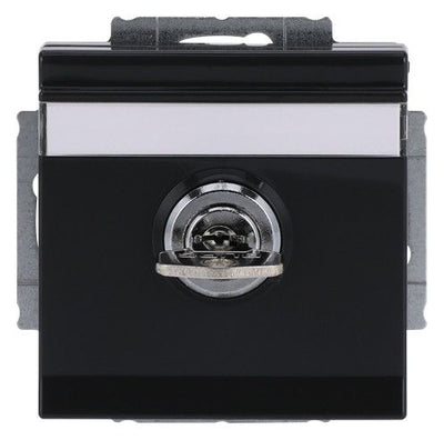 BJ 20 EUKNBSL-81-101 SCHUKO Steckdosen-Einsatz anth future linear