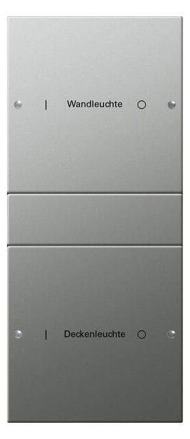 GIRA 2132602 Wippenset 2fach (1+1) beschreibbar System 55 Edelstahl