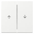GIRA 329403 Wippe 2fach Pfeil System 55 Reinweiß glänzend