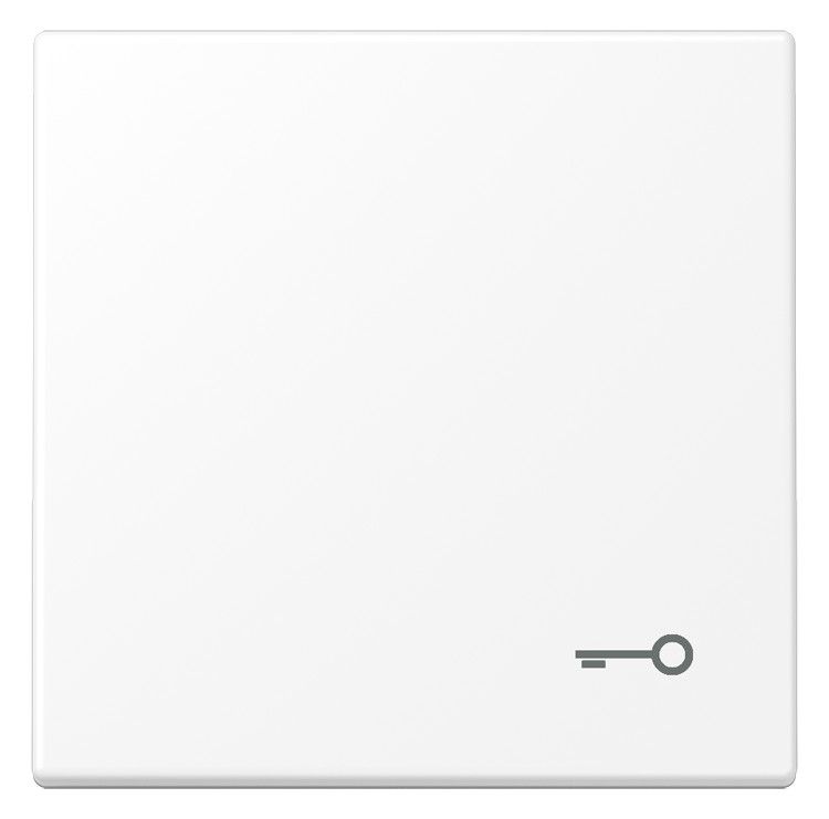 Jung LS 990 T WWM Wippe 1fach Symbol Tür Serie LS schneeweiß matt